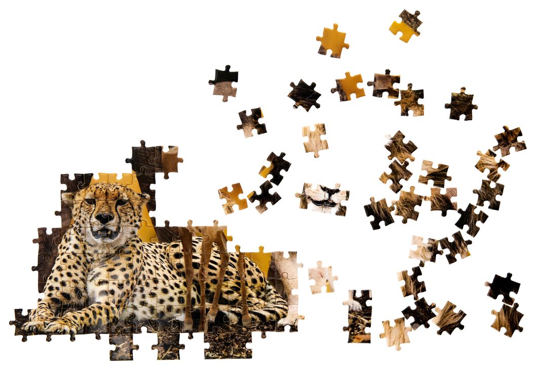 legpuzzel 50x70 1000stukjes dieren - HEMA