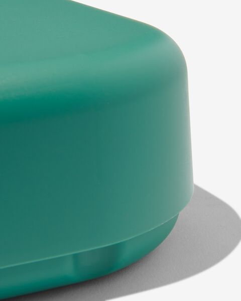 over Graag gedaan Antipoison lunchbox met elastiek XL groen - HEMA