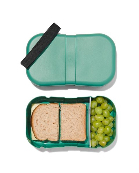 lunchbox met elastiek XL HEMA