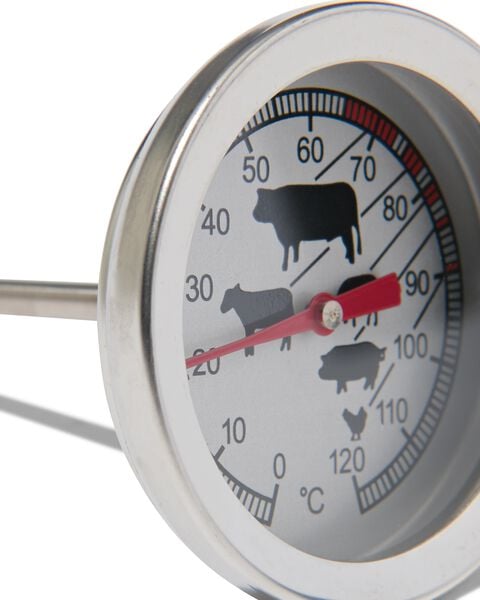 Viool Consequent Vervullen vleesthermometer - HEMA