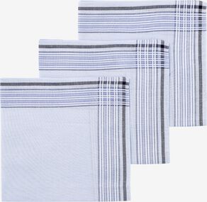 Shinkan Triviaal Wonderbaarlijk Zakdoeken kopen? Shop nu online - HEMA