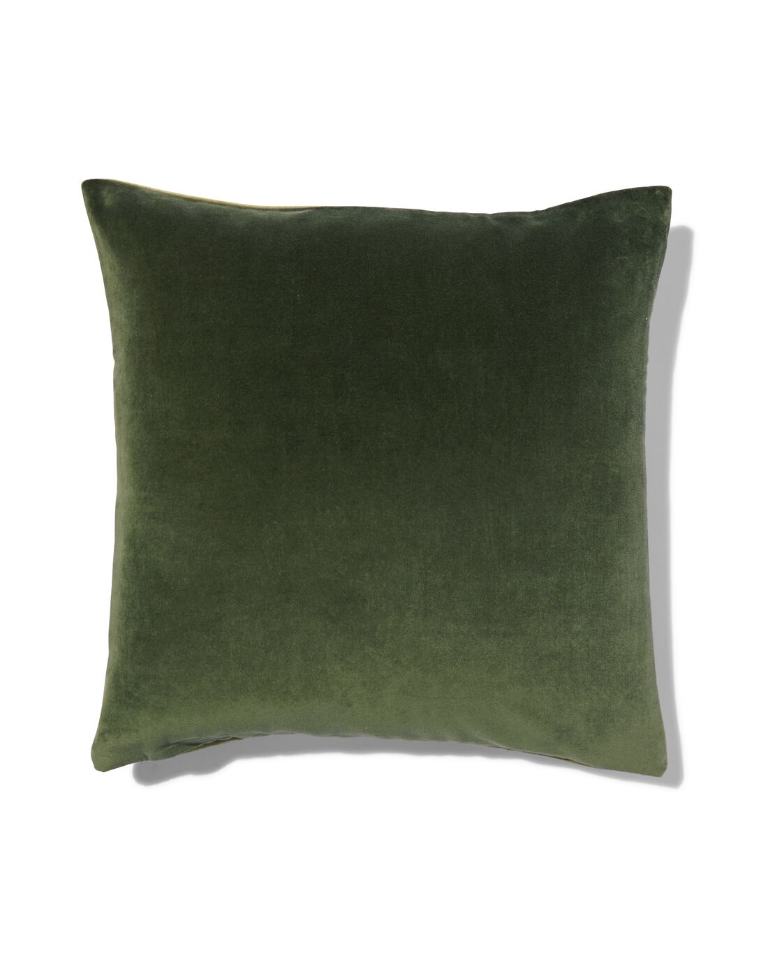 HEMA Kussenhoes Velours 50x50 Groen (groen)
