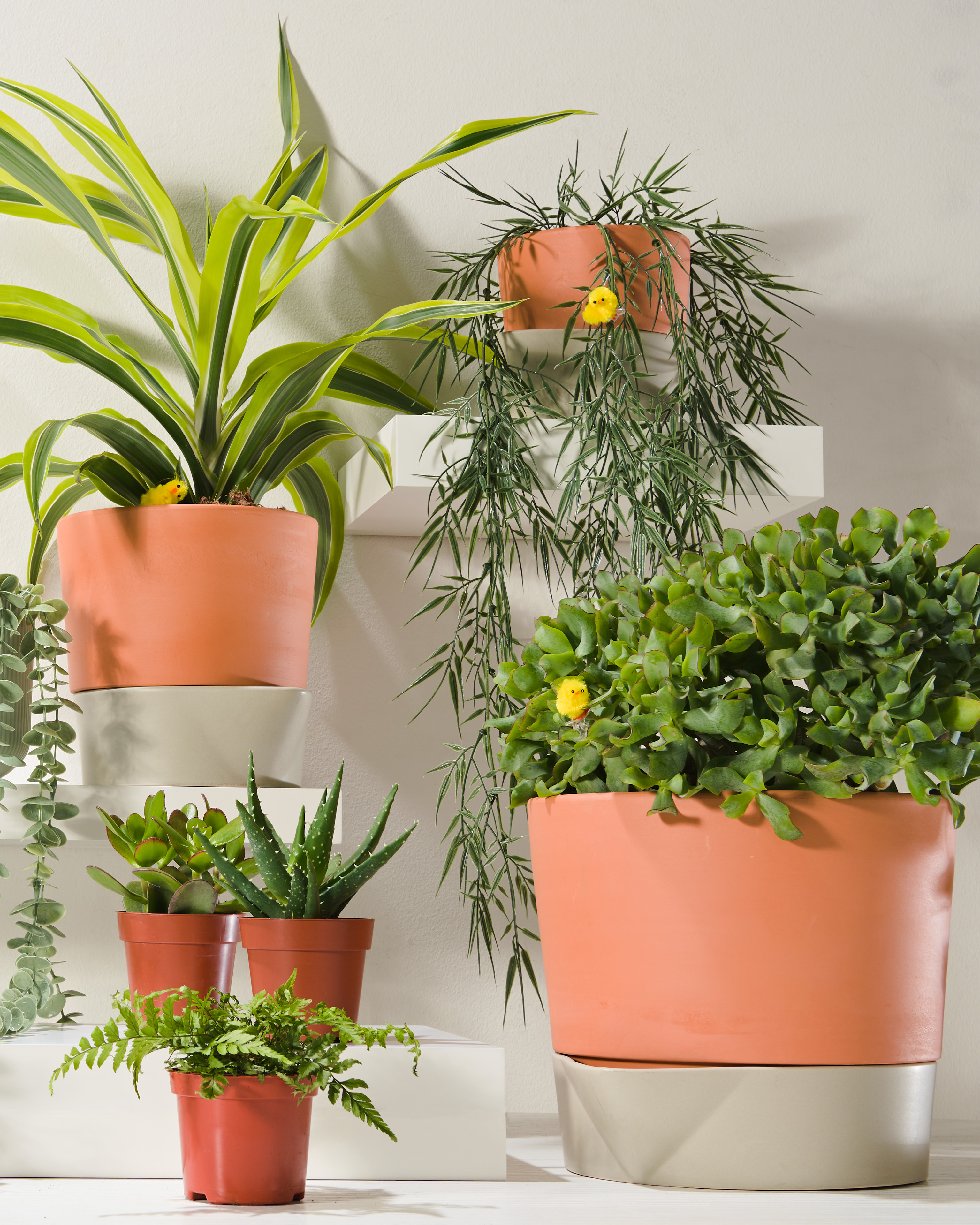 lekker planten met de zelfwaterenden potten - HEMA